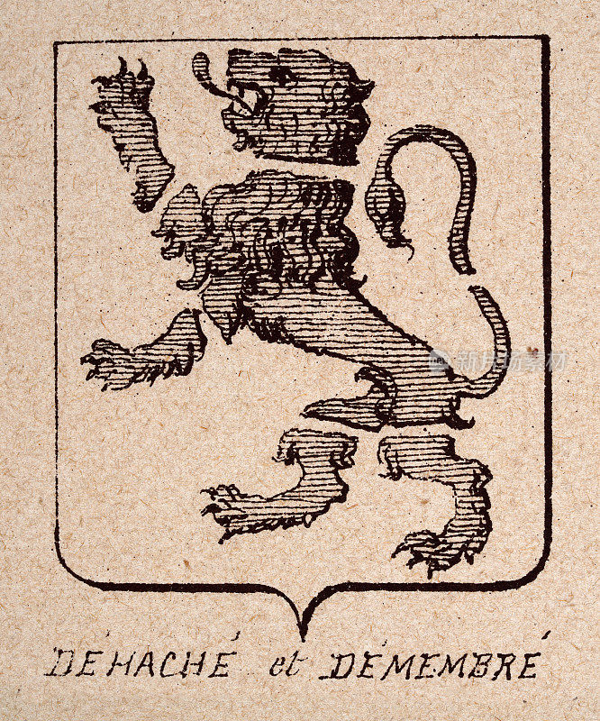 盾，或纹章盾牌，猖獗的狮子被切碎和肢解，De hache et démembré，纹章